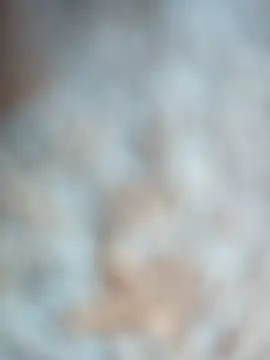 talytah online show from 19, 2, 2026