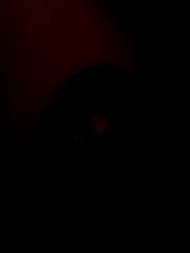 arushi bb online show from 15, 1, 2026