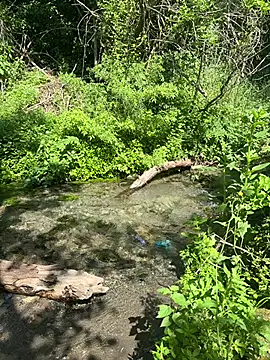 -LaTuaBionda-Giusy-00 online show from 28, 4, 2026