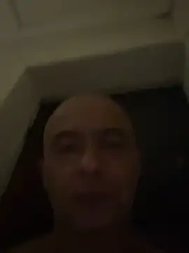 dogfrota online show from 28, 2, 2026