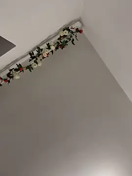 Missolevelvet online show from 23, 4, 2026