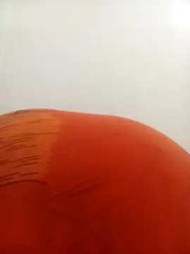 PatriciaVen online show from 9, 2, 2026