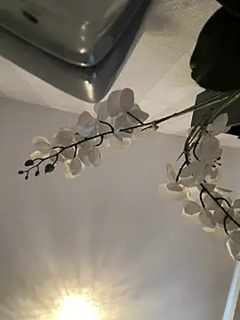 Princess-ivyxoxo online show from 20, 7, 2026