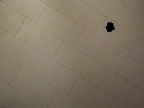 sterng6969 online show from 9, 4, 2026