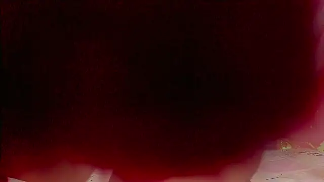 sweet  luna   online show from 21, 2, 2026