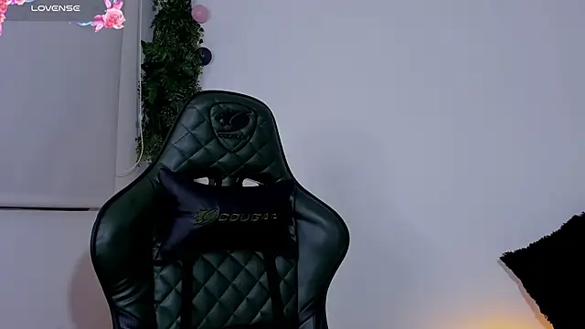 Noaah25  online show from 3, 4, 2026