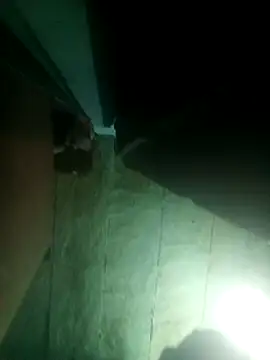 priyasharma899 online show from 13, 3, 2026