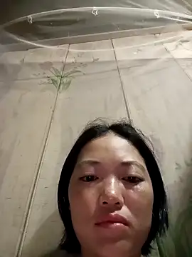 kotaka-shoow online show from 18, 4, 2026