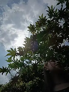 -Lore- online show from 7, 3, 2026