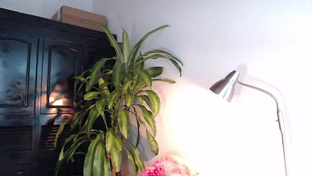 Mia Volkova  online show from 14, 6, 2026
