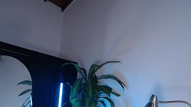 Mia Volkova  online show from 30, 7, 2026