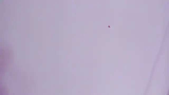 lovely  kiss   online show from 26, 3, 2026