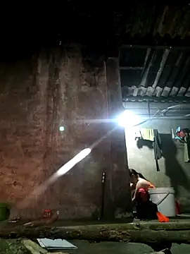 LISAA-6969 online show from 26, 3, 2026