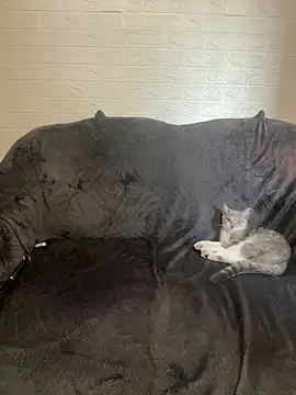 AlisRoxy online show from 14, 2, 2026