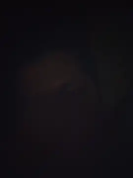 Snapshot of Pravin9562 chatting on 4, 3, 2026 Pravin9562 online show from 4, 3, 2026