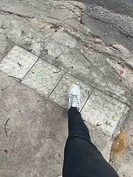 Novinho Pauzudo 18cm online show from 9, 3, 2026