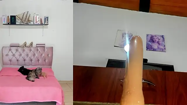 harper funny online show from 20, 4, 2026