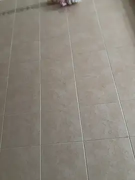 joy1334 online show from 9, 2, 2026