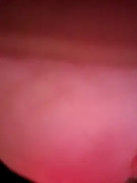 Snapshot of IndorsedTimid chatting on 5, 4, 2026 IndorsedTimid online show from 5, 4, 2026