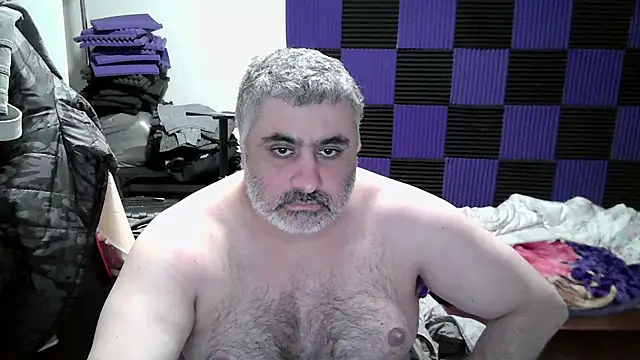 Bear 1985 online show from 17, 1, 2026