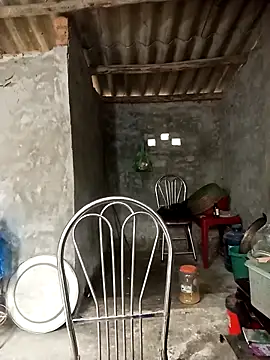 Nuna 689 online show from 3, 4, 2026