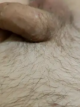 Halunja online show from 3, 2, 2026