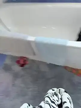 Prinz18cm online show from 19, 1, 2026