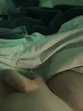 Prinz18cm online show from 8, 2, 2026