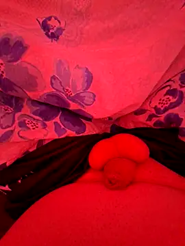 Snapshot of AdaBoys chatting on 8, 3, 2026 AdaBoys online show from 8, 3, 2026