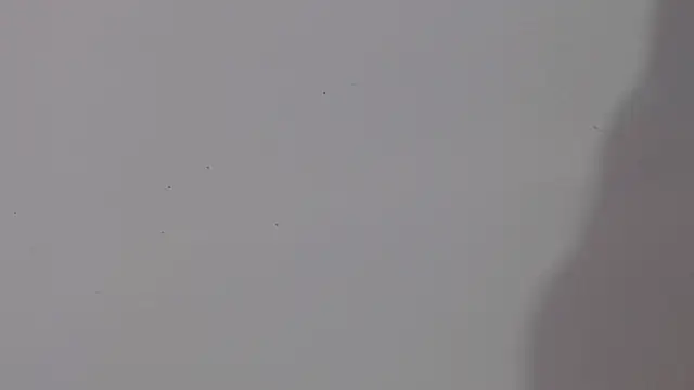 adara cute 69 online show from 5, 2, 2026