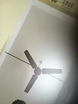 deshilnd online show from 3, 4, 2026