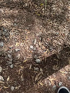 Snapshot of tyd247 chatting on 22, 2, 2026 tyd247 online show from 22, 2, 2026