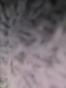 Puka2001 online show from 2, 3, 2026