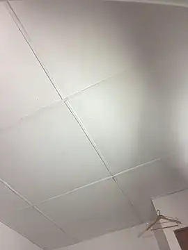 vanilla Kush online show from 11, 3, 2026