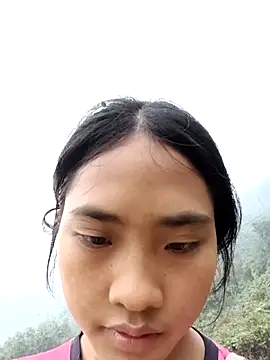 Hoa-tuylip online show from 24, 2, 2026