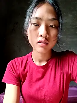 Hoa-tuylip online show from 13, 4, 2026