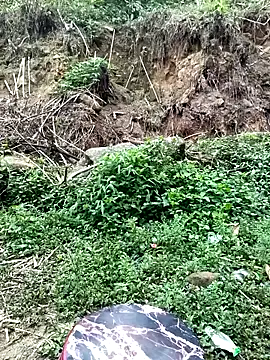 Hoa-tuylip online show from 21, 4, 2026