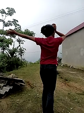 Hoa-tuylip online show from 28, 4, 2026