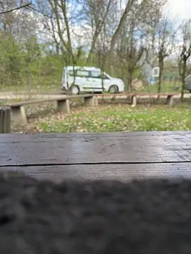 FrankdieSchwuchtel online show from 21, 3, 2026