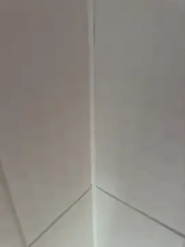 fali35 online show from 17, 2, 2026