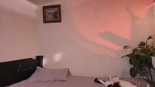 slowburnmystic online show from 11, 6, 2026