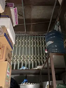 YANINA120 online show from 1, 3, 2026