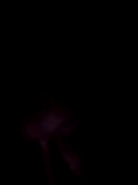 UnshodSixties online show from 7, 6, 2026