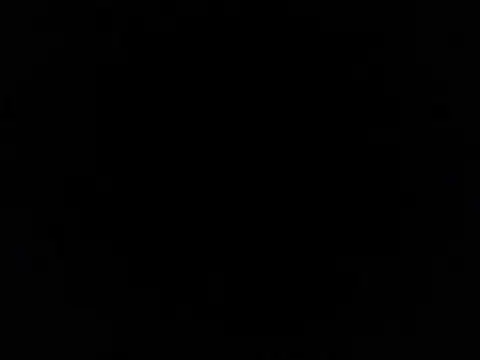 plTop40 online show from 11, 3, 2026