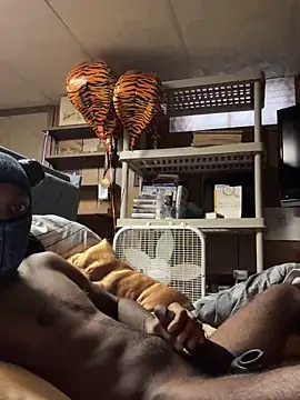 ProveYourLoyalty2 online show from 2, 4, 2026