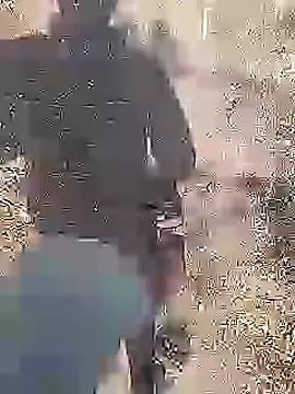 Cute Boy 4 online show from 2, 3, 2026