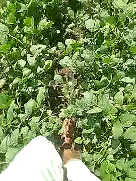 Cute Boy 4 online show from 22, 4, 2026