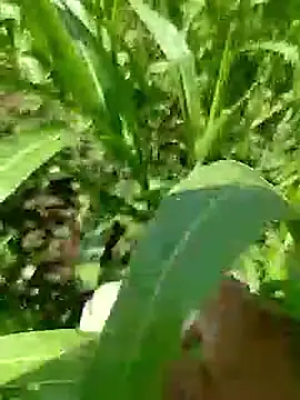 Cute Boy 4 online show from 23, 4, 2026