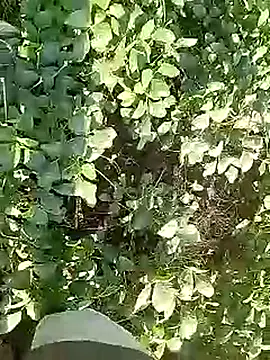 Cute Boy 4 online show from 28, 4, 2026