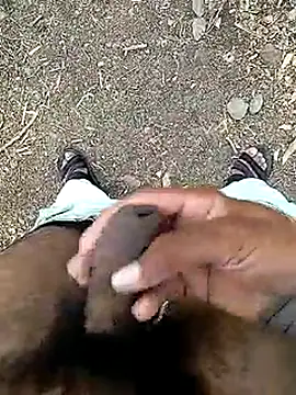 Cute Boy 4 online show from 5, 6, 2026